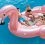 Ile FLAMANT ROSE 4.22x3.73x1.85m